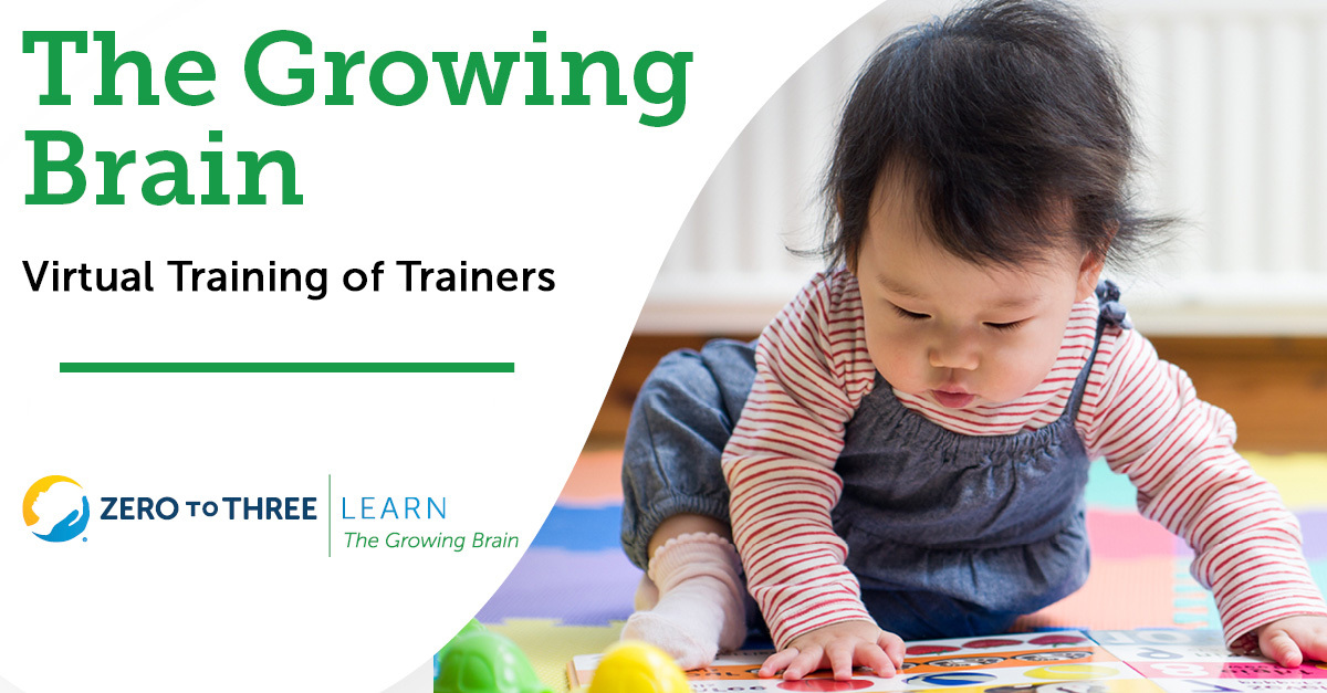 The Growing Brain: Virtual Training-of-Trainers - June 2024